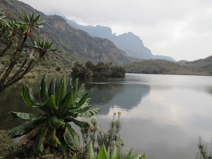 Ruwenzori - Ruwenzori: il Central Circuit Trail