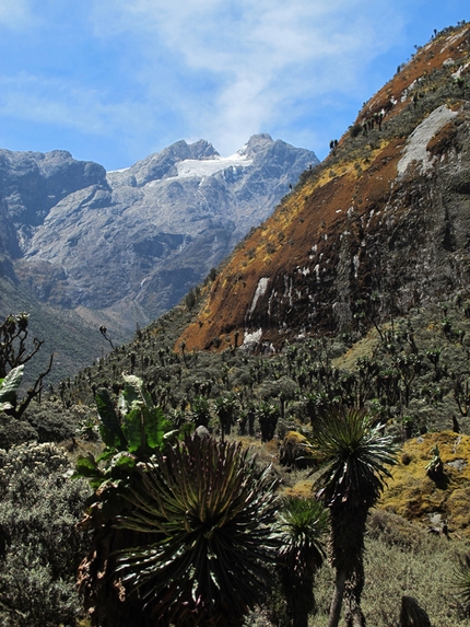 Ruwenzori - Ruwenzori: the Central Circuit Trail