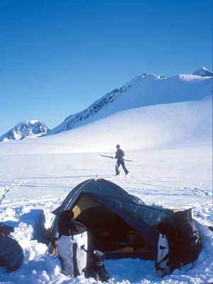 Svalbard - Ultimo campo