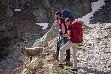 Greatest Italian Treks 2017: Wolf Trekking with Ferrino - With Ferrino to the discovery of unique ecosystems: an immersion in landscape and environmental beauty,