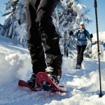 Pragelato Natural Terrain con Ferrino - È nato questo inverno 2014/15 un progetto ambizioso nella località sciistica di Pragelato con l’intento di creare un luogo a misura d’uomo a pochi passi da Torino dove poter praticare tutte le attività sulla neve (freeride, sci alpinismo, sci nordico, running e ciaspolate): è il Pragelato Natural Terrain.