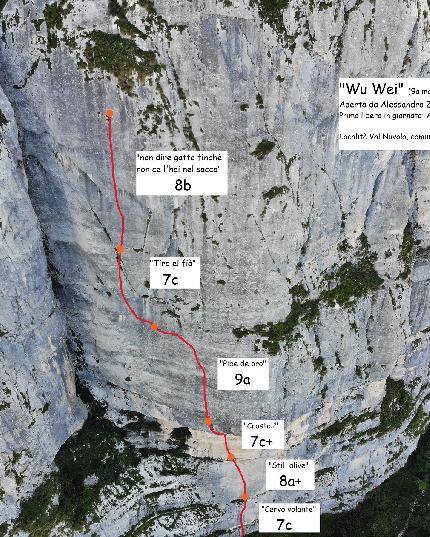 Alessandro Zeni, Wu Wei, Val Nuvola, Riccardo Scarian - La relazione di 'Wu Wei' (9a, 180m), Picco delle Aquile, Monte Coppolo, Val Nuvola, di Riccardo Scarian e Alessandro Zeni