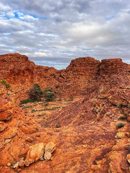 Australia - Alba nell'Outback in Australia