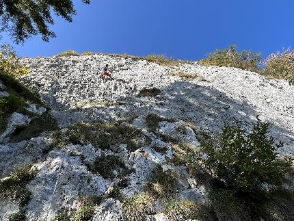 Faverghera - Terrazza sul Lago - Giovanni Canton climbing 'Mai dire Tamai' (6a+) at the crag Nevegàl - Faverghera - Terrazza sul Lago