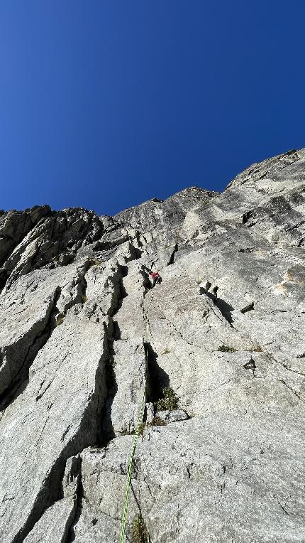 Nati Pronti