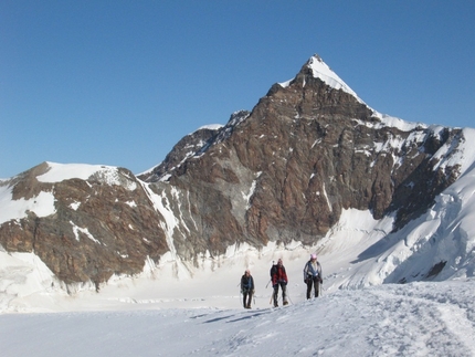 Monte Rosa - Piramide Vincent: arrivando in vetta alla Vincent; come sfondo la parete SE del Lyskamm Orientale