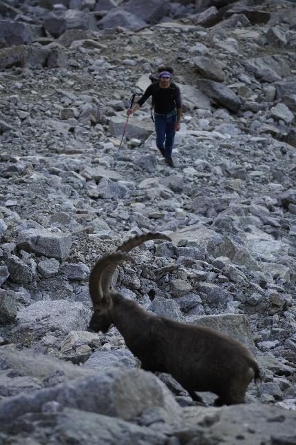 Monte Nero Piantonetto, Valle dell'Orco, Andrea Migliano - L'apertura di 'Liz e L'Elefante' al Monte Nero nel Vallone di Piantonetto (Pietro Mercuriali, Andrea Migliano, Domenico Totani, Lisa Seffusatti)