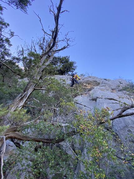 Agostino Sogos, Monte Oddeu, Sardegna, Giuseppe Obinu, Luciano Muroni - L'apertura di 'Agostino Sogos' al Sas Palas de su Puntale (Monte Oddeu, Sardegna), di Giuseppe Obinu e Luciano Muroni