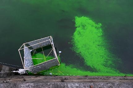 Extinction Rebellion - Extinction Rebellion a Torino: le acque del fiume Po si tingono di verde