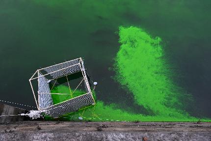 Extinction Rebellion - Extinction Rebellion a Torino: le acque del fiume Po si tingono di verde