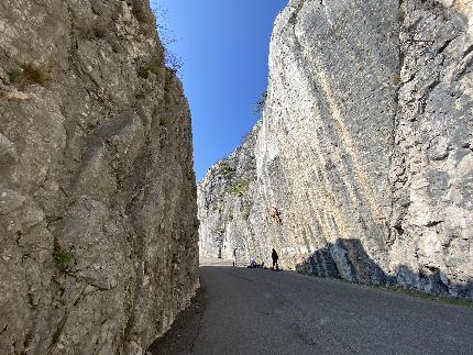 Napoleonica, Trieste - Napoleonica: Lastrone Giallo