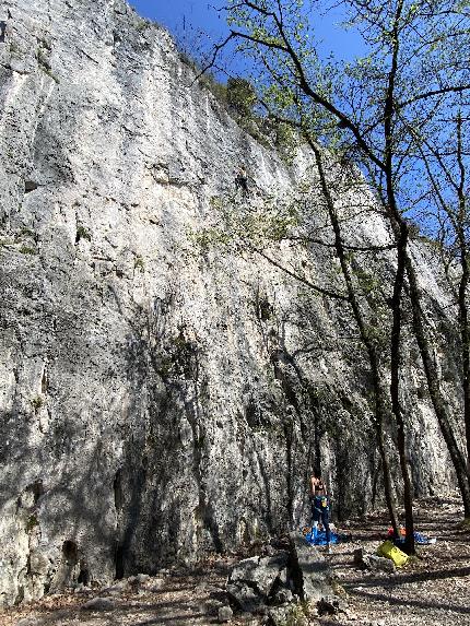 Napoleonica, Trieste - Napoleonica: sector Calabroni