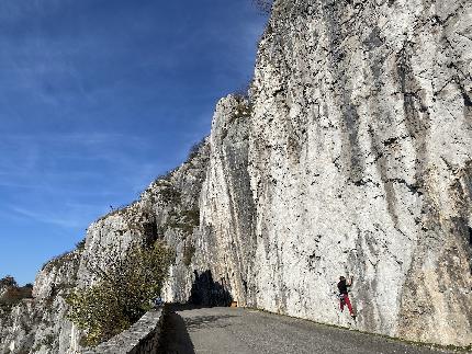 Napoleonica, Trieste - Napoleonica: the main traverses