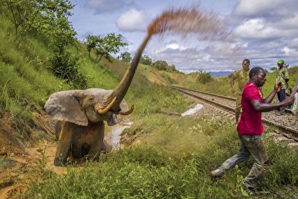 Wildlife Photographer of the Year 2023 - Wildlife Photographer of the Year 2023: Jasper Doest