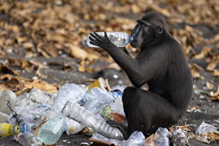 Wildlife Photographer of the Year 2023 - Wildlife Photographer of the Year 2023: Claire Waring