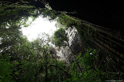 Associazione La Venta Esplorazioni Geografiche, Colombia - El Penòn, Colombia: particolare della giungla del Penòn