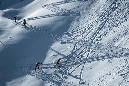 Transcavallo 2024 - La 41° edizione della gara di scialpinismo Transcavallo 2024