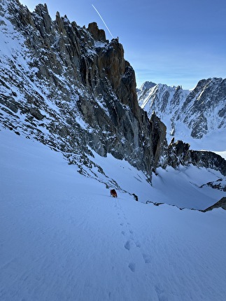 Aiguille d’Argentière, Arête Charlet Straton, Tom Lafaille, Fay Manners - La prima discesa di Stratonspherique su Aiguille d’Argentière (Tom Lafaille, Fay Manners 17/02/2024)