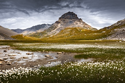 Fotografare il Parco XVII edizione - Fotografare il Parco XVII edizione, Paesaggi del Parco: Parc national de la Vanoise, Un lac de linaigrettes di Catherine Aupetit