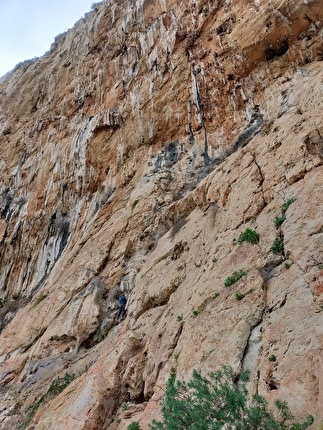 Parete dei Rotoli, Palermo, Sicily, Jonathan Bonaventura, Fabrizio Carmina, Martino Quintavalla - The first ascent of 'I Colombiani' on Parete dei Rotoli at Palermo, Sicily (Jonathan Bonaventura, Fabrizio Carmina, Martino Quintavalla 27-29/12/2024)