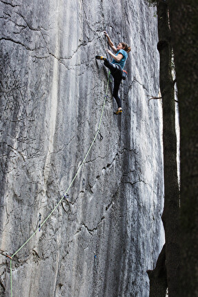 Barbara Zangerl - Barbara Zangerl repeating Pungitopo (8c+) at Arco, Italy, April 2024