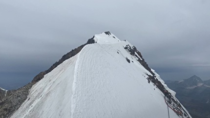 Mummia di Marmotta del Lyskamm - Mummia di Marmotta del Lyskamm: 