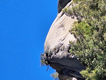 Piccolo Half Dome