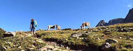 Pizzo Matto, Val Grosina, Valtellina - Amici per sempre: avvicinamento alla parete Sass del Plan Sertif del Pizzo Matto in Val Grosina (Valtellina)