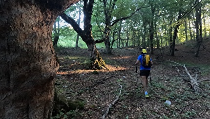Randonnée dei Simbruini, Monti Simbruini, Appennino - Randonnée dei Simbruini: verso Campo Catino. Ancora non lo sappiamo ma il tratto più dura sta per arrivare: ci aspetta quasi un chilometro verticale.