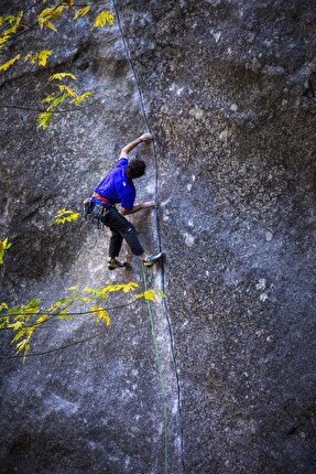 Jacopo Larcher Magic Line - Jacopo Larcher climbing 'Magic Line' in Yosemite, November 2024