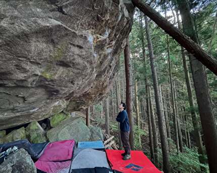 Dai Koyamada - Dai Koyamada sotto 'Kaikien' (8C) a Mt. Kasagi in Giappone, 11/2024