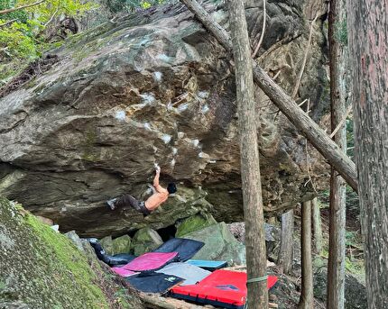 Dai Koyamada - Dai Koyamada su 'Onishiki' a Mt. Kasagi in Giappone, 11/2024