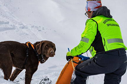 Concluso a Cortina il 58° corso nazionale cani da valanga del Soccorso Alpino