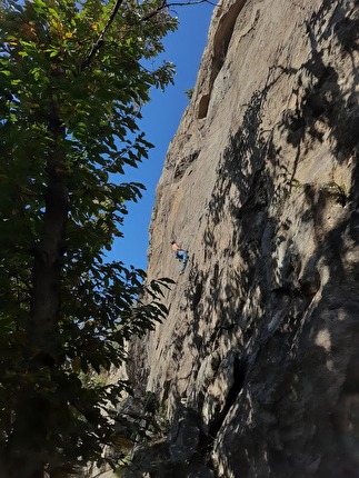 Rombi di Donnas, Valle d’Aosta, Mario Ogliengo - Alessandro Bellini su 'Buddy Holly' (7b) ai Rombi di Donnas in Valle d’Aosta