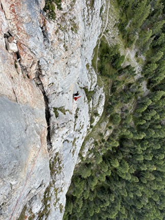 Torre delle Pociace, Monzoni, Dolomiti, Daniele Bolognani, Davide Dallago  - Vista dalla quarta sosta di 'Sól' alla Torre delle Pociace, Dolomiti (Daniele Bolognani, Davide Dallago 09/2024)