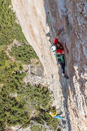 Col di Specie, Val di Landro, Dolomiti, Simon Gietl, Jakob Steinkasserer - L'apertura di 'Fomo' alla Hintere Geierwand / Col di Specie in Val di Landro, Dolomiti (Simon Gietl, Jakob Steinkasserer 05/2025)
