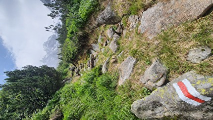 Capanna di Sciora, Val Bondasca - Sul sentiero che porta alla Capanna Sciora in Val Bondasca, estate 2025