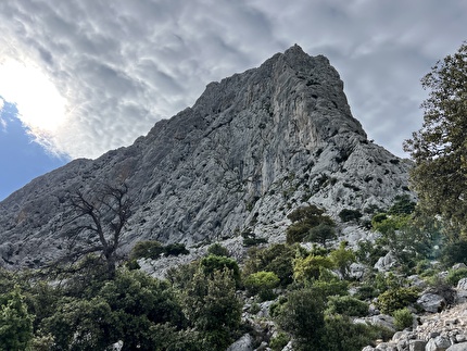 Punta Cusidore, Sardegna - Punta Cusidore: prima vista da vicino