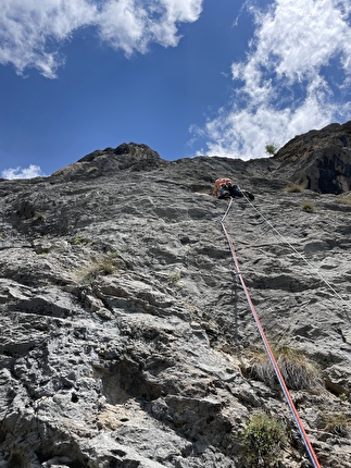 Piccolo Piz de Guda, Marmolada, Dolomiti, Federico Dell’Antone, Thomas Gianola - L'apertura di 'Il Orso' al Piccolo Piz de Guda, Marmolada, Dolomiti (Federico Dell’Antone, Thomas Gianola 6, 20/06/2024)