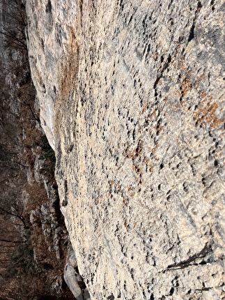 Falesia Re Leone, Timau, Friuli Venezia Giulia - La magnifica roccia della falesia Re Leone