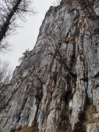 Corno d’Aquilio, Parete dei Lavoratori, Val d'Adige, Alessandro Ceriani, Massimo Garavaglia, Walter Polidori, Said Taghipour - L'apertura di 'Cotechino e Pearà' alla Parete dei Lavoratori del Corno d’Aquilio: la vista della parete arrivando all'attacco