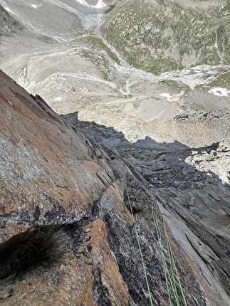 Cresta dei Prosces, Gran Paradiso, Andrea Migliano, Lisa Seffusatti - L'apertura di 'Non mi basti mai' alla Cresta dei Prosces, Gran Paradiso (Andrea Migliano, Lisa Seffusatti 15/07/2025): i tiri difficili della parte alta