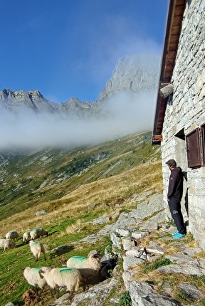 Avancorpo del Cavalcorto Valle del Ferro, Val Masino, Giacomo Regallo, Marco Zanchetta - The first ascent of 'Due anni e un figlio' on the Avancorpo del Cavalcorto in Valle del Ferro, Val Masino (Giacomo Regallo, Marco Zanchetta)