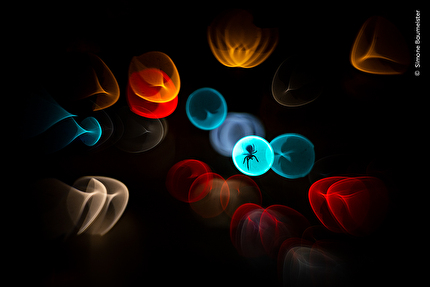 Wildlife Photographer of the Year 2025 - Wildlife Photographer of the Year 2025: Caught in the Headlights by Simone Baumeister, Germany. Winner, Natural Artistry