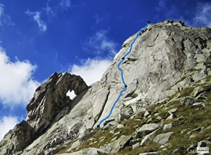 Lupi solitari
