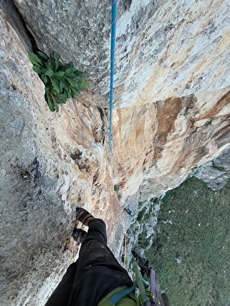 Avancorpo di Pizzo della Sella, Monte Gallo, Appennino Siculo, Gabriele Cavallo, Massimo Flaccavento, David Gallo - La richiodatura di 'Orizzonti contrapposti', Avancorpo di Pizzo della Sella, Monte Gallo, Appennino Siculo (Gabriele Cavallo, Massimo Flaccavento, David Gallo, 2002-2007) Avancorpo di Pizzo della Sella, Monte Gallo, Appennino Siculo, Gabriele Cavallo, Massimo Flaccavento, David Gallo - La richiodatura di 'Orizzonti contrapposti', Avancorpo di Pizzo della Sella, Monte Gallo, Appennino Siculo (Gabriele Cavallo, Massimo Flaccavento, David Gallo, 2002-2007)