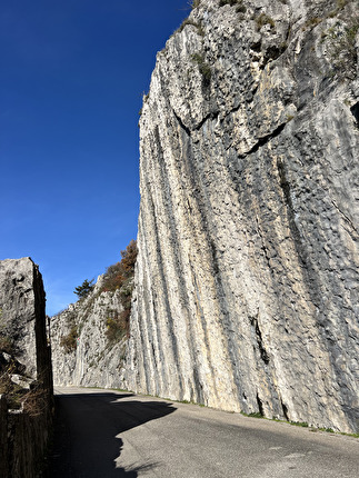 Napoleonica, Trieste - Lo Scudo della Napoleonica, Trieste