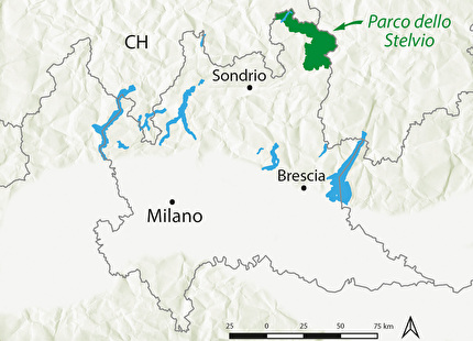 Orme di dinosauri Parco Nazionale dello Stelvio, Valle di Fraele - Orme di dinosauri Parco Nazionale dello Stelvio, Valle di Fraele -