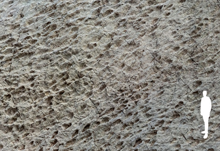 Orme di dinosauri Parco Nazionale dello Stelvio, Valle di Fraele - Le impronte di dinosauri in Valle di Fraele, Parco Nazionale dello Stelvio, scoperte a settembre 2025 dal fotografo Elio Della Ferrera Orme di dinosauri Parco Nazionale dello Stelvio, Valle di Fraele - Le impronte di dinosauri in Valle di Fraele, Parco Nazionale dello Stelvio, scoperte a settembre 2025 dal fotografo Elio Della Ferrera