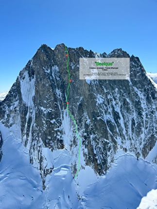 Big new winter climb up Point Whymper on north face of Grandes Jorasses 